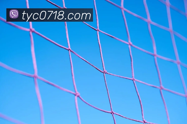 太阳城平台生态图